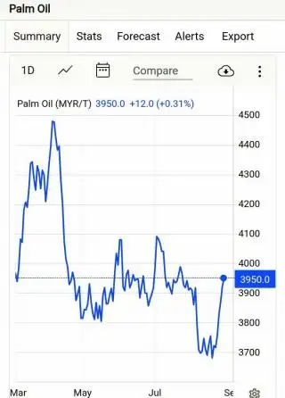 Timteng, India, dan Sikap RI Bikin Harga CPO Meroket