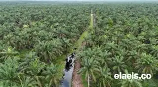 Sepenggal Cerita Kanal Tua