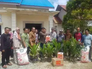 Petani di PPU Dapat Bantuan Bibit Sawit, Pupuk, dan Herbisida