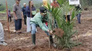 Apkasindo Sambut Baik Penyederhanaan Syarat PSR, tapi...