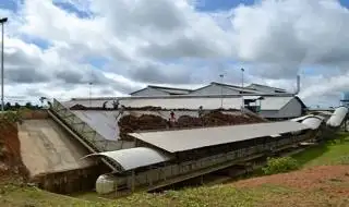 Investor Diajak Genjot Hilirisasi Sawit di Kaltim