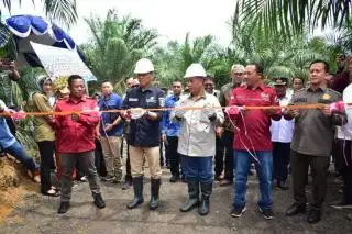 Sawit Program PSR Tiga KUD di OKI Panen Perdana