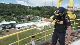 Penerimaan Bea Cukai Tumbuh Positif, Ditopang CPO dan Tembakau
