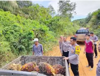 Industri Sawit Bawa Perubahan Besar di Kotawaringin Timur
