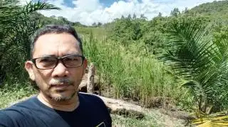 Penjualan Benih dan Bibit Sawit Ilegal Masih Marak di Kalbar