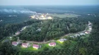 Industri Sawit Jadi Mesin Ekonomi Indonesia