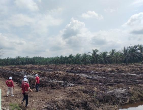 57% Kebun Milik Poktan Segoromas Telah Diremajakan