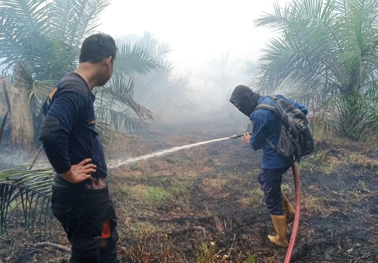 Baru Diracun, 2,5 Hektare Lahan Sawit Terbakar di Siak