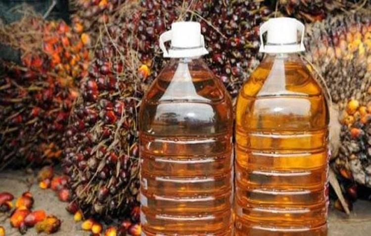 Harga CPO Tembus Level Tertinggi 4 Bulan, Bagaimana Prediksi Pekan ini?