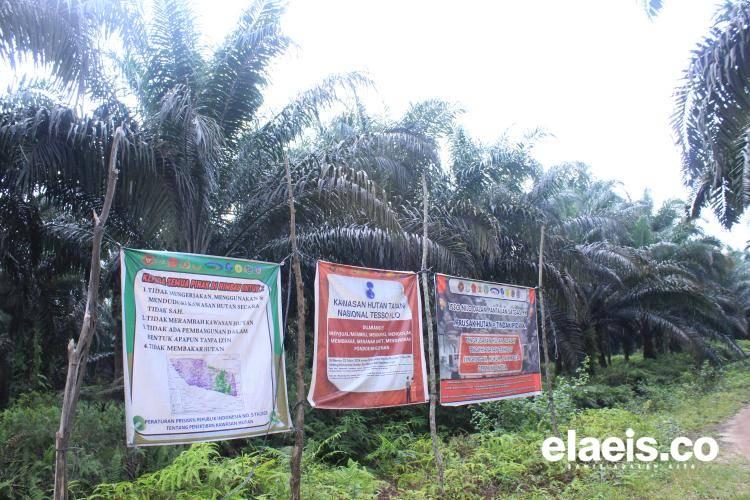 Klaim Sepihak di Pondok Kompeh