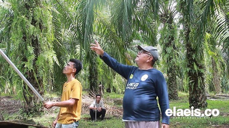 Kisah Pasangan 'Gila' di Subulussalam