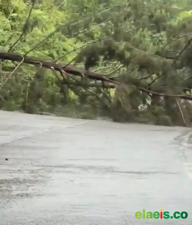 Petani Aceh Tagih Perbaikan Jalan Lintas Barsela