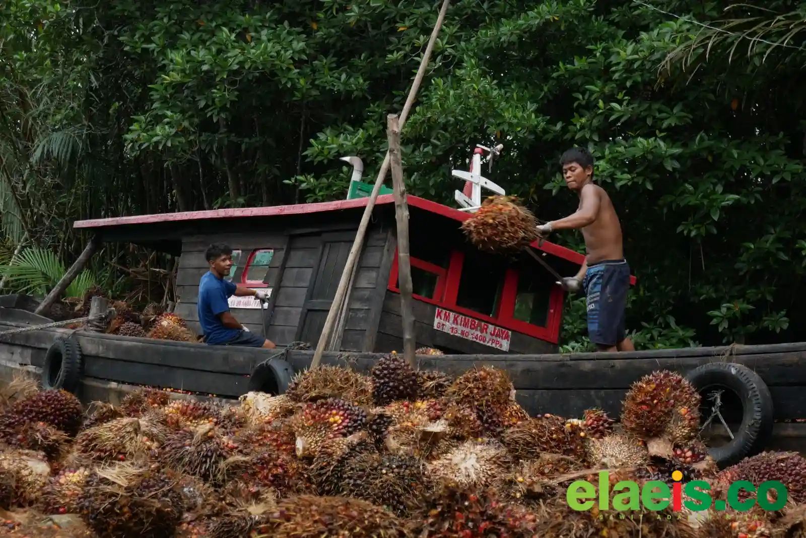 Aspek-Pir Dukung Adanya UU Khusus Kelapa Sawit