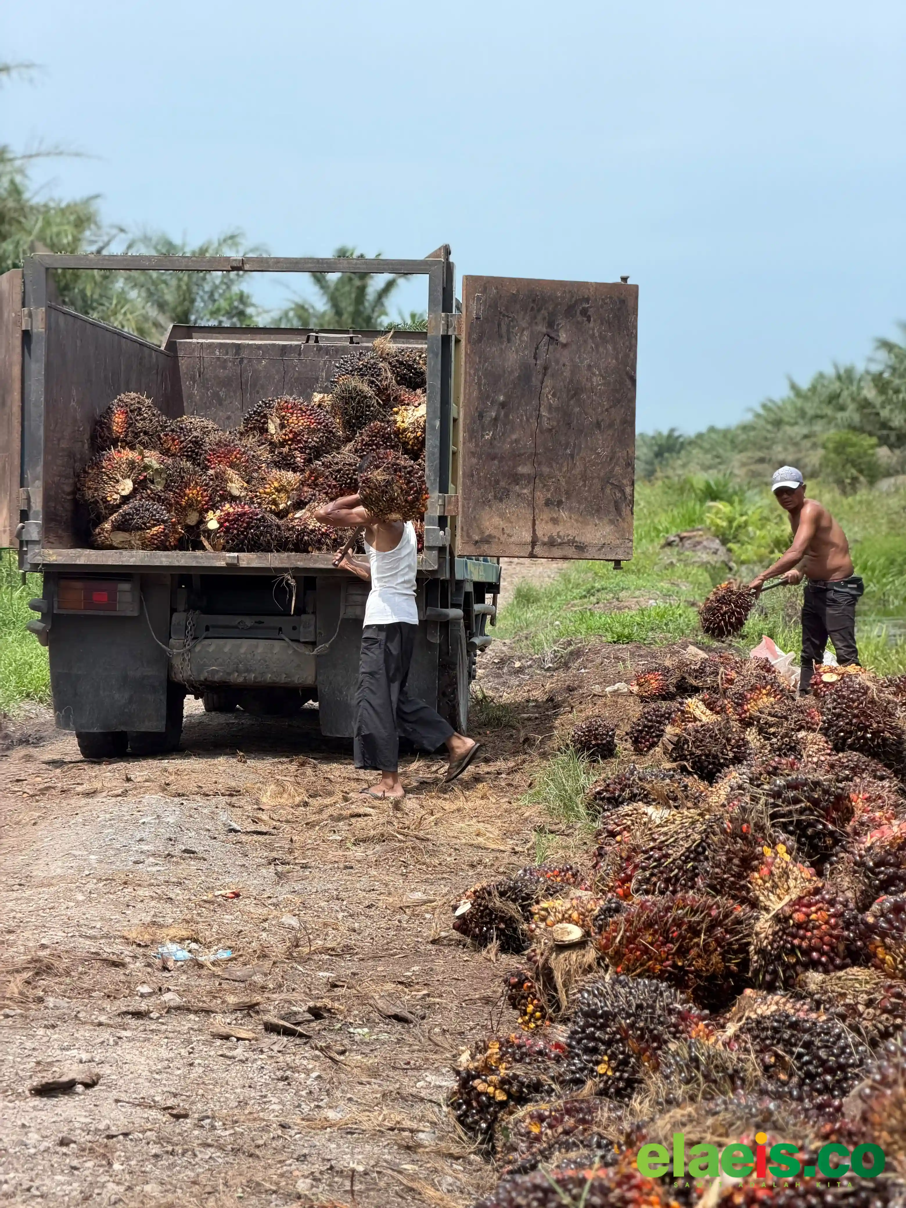 Perusahaan Dinilai Sudah Harus Rela Bermitra Dengan Petani
