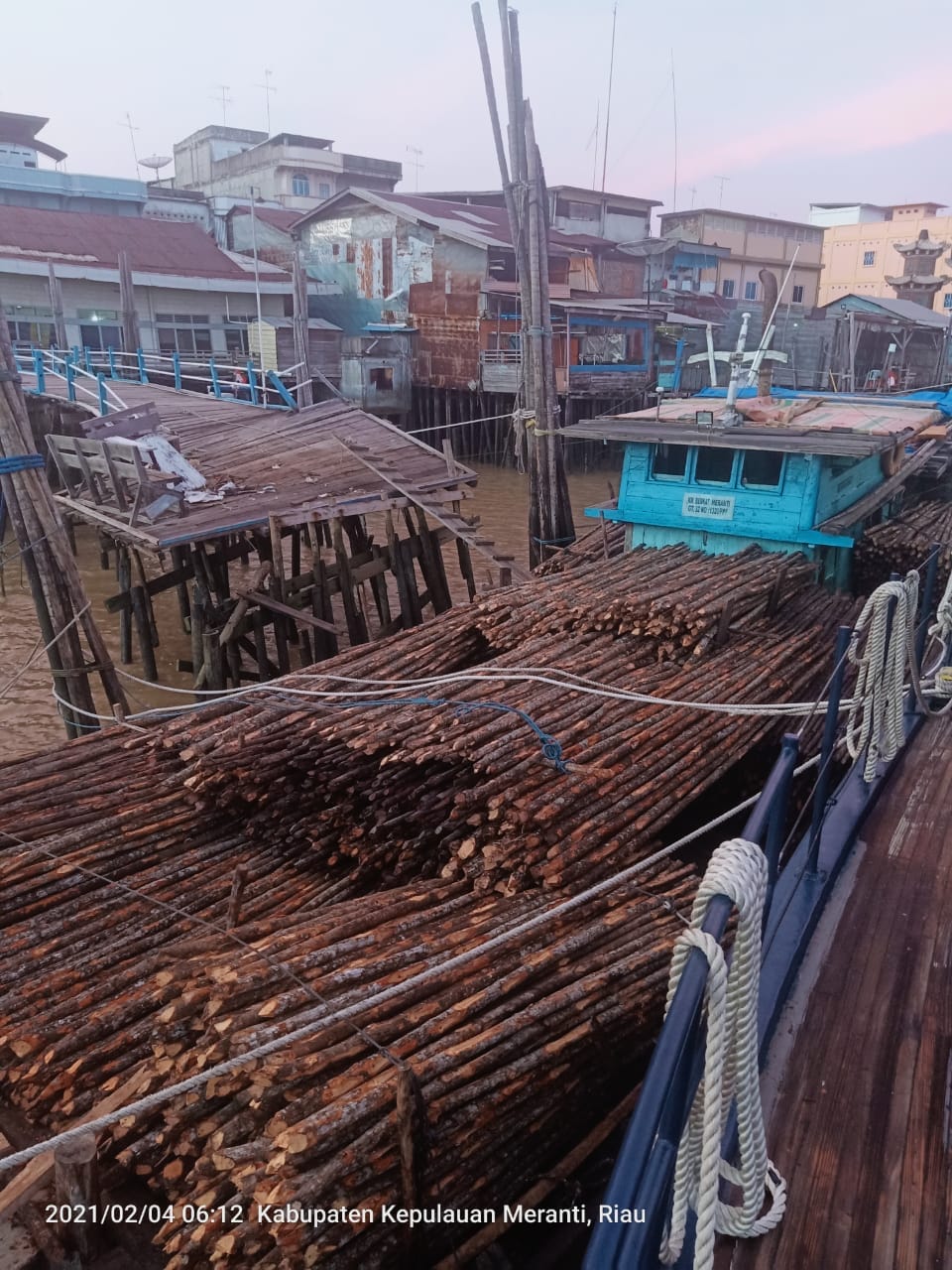 Bea Cukai Riau Gagalkan Penyelundupan 5.700 Batang Kayu Teki Ilegal ke Malaysia