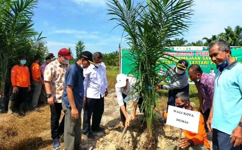 'Pecah Telor' Petani Kelapa Sawit 'Kota Ekspor'