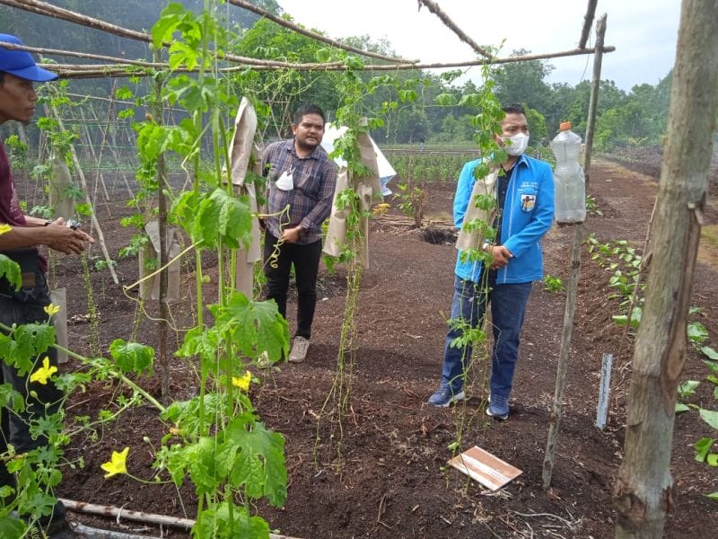 Pemuda Diajak Jadi Petani Milenial