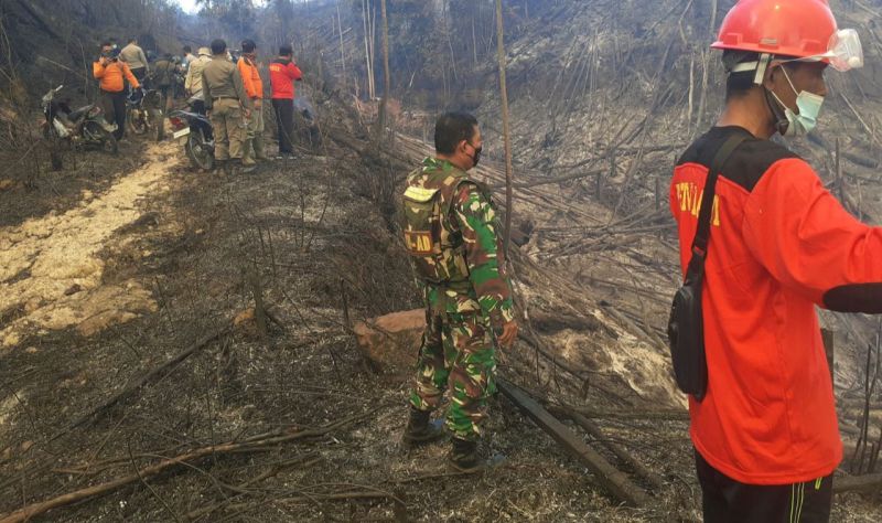 Tiga Orang Jadi Tersangka Kebakaran Hutan Lindung Bukit Suligi Rohul