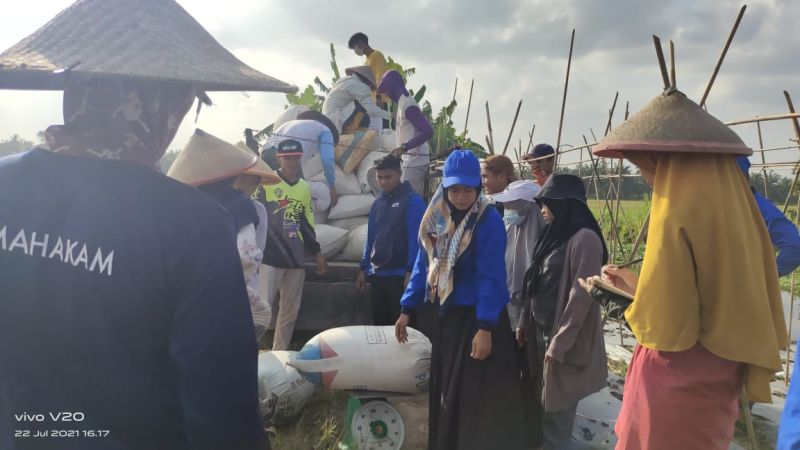 'Manol', Sumber Duit Bagi Pemuda Bungaraya