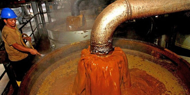 Harga CPO Naik, Dua Emiten Salim Grup Kompak Raup Laba