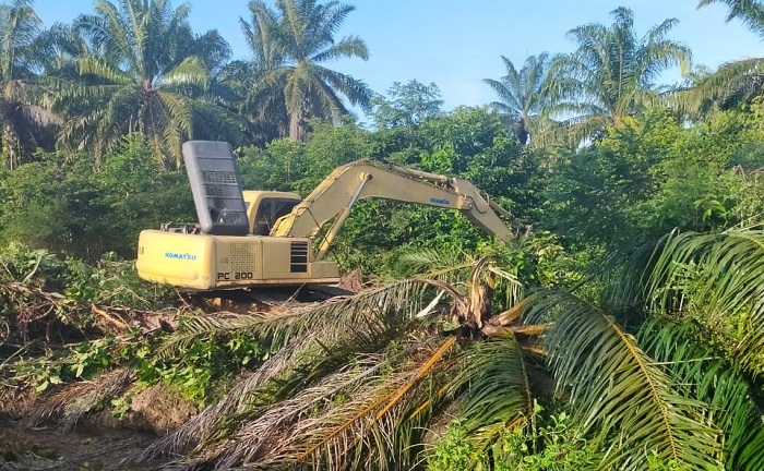 Kelanjutan PSR 170 Hektar Menunggu Syarat Dilengkapi Petani
