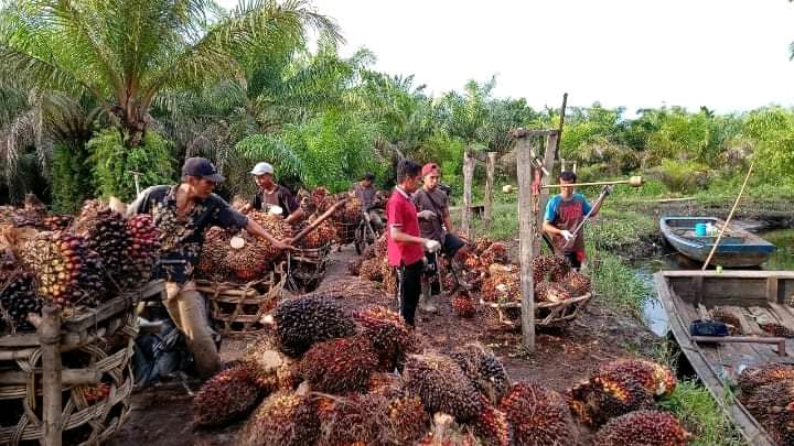 Industri Sawit, Penopang Ekonomi dan Pembuka Lapangan Kerja