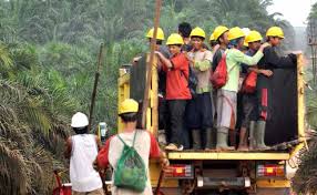 Banyak Loker di Sektor Perkebunan, Tapi Peminatnya Kurang