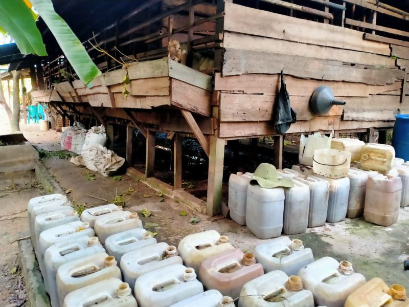 Kotoran Kambing Jadi Solusi untuk Sawit saat Pupuk di Riau Mahal