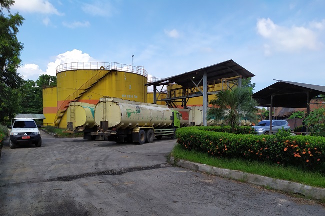 Empat Pabrik Sawit di Kalsel Tutup karena...