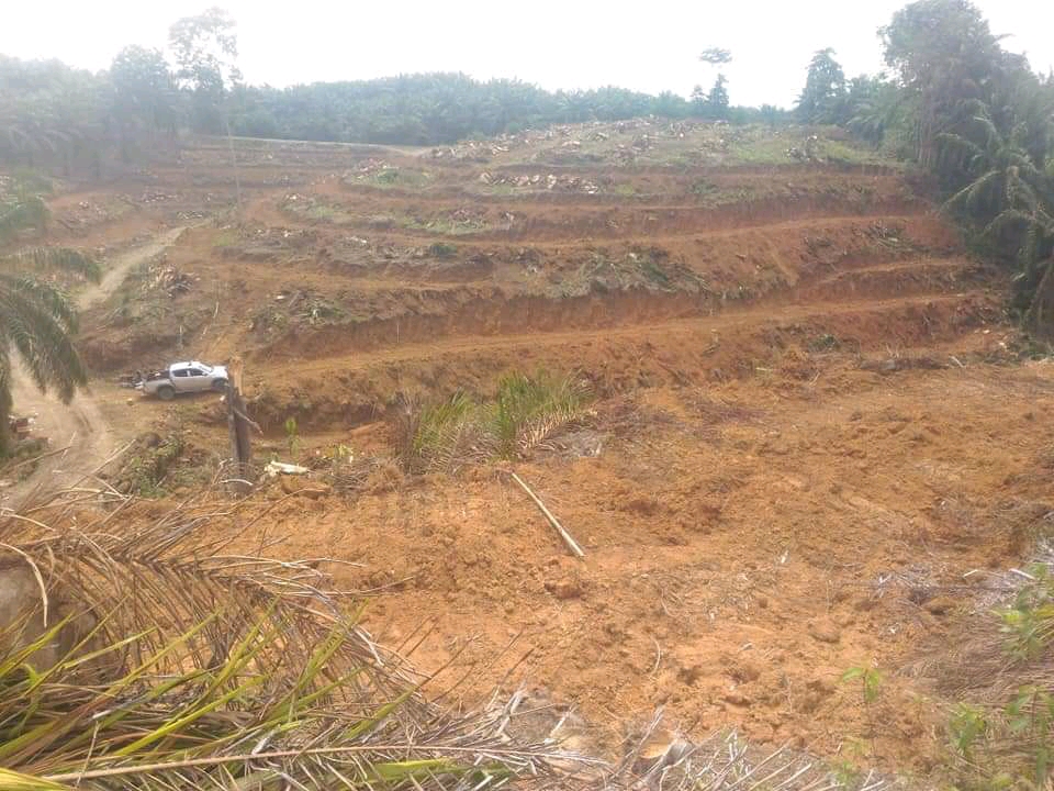 Kebun dalam Kawasan Hambat Realisasi PSR di Dumai