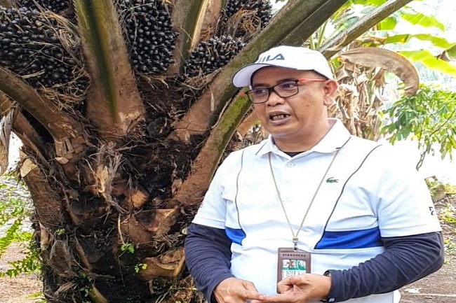 Saat Soko Guru Dicekik Pupuk