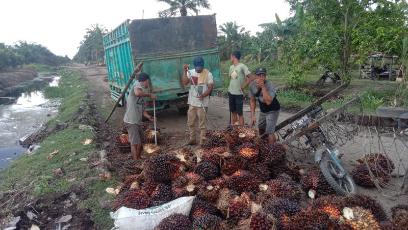 Program B30 Hemat Devisa Rp38,3 Triliun