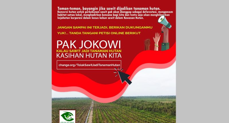 Sawit Tanaman Hutan Dituding Pesanan, Ini Raksasa Yang Diuntungkan