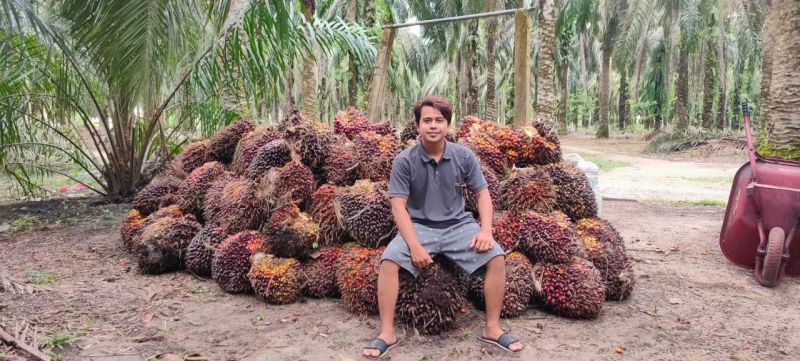 Kantong Makin Tebal di Awal Februari