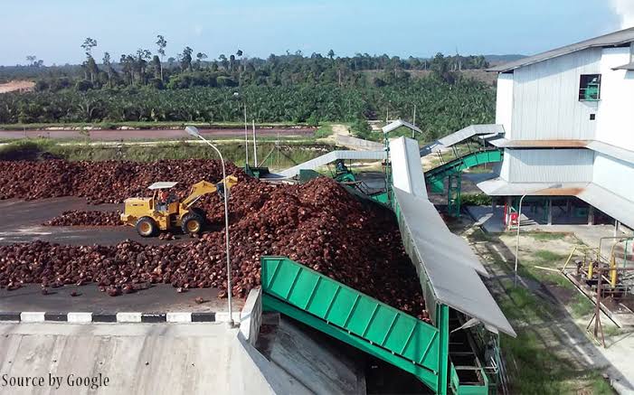 Petani Keluhkan Potongan Pabrik Sawit di Sumbar