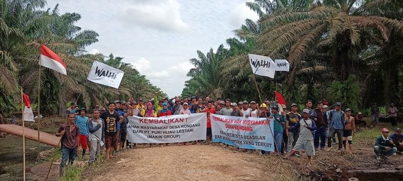 Menginap di Kebun Sawit, Berharap Sengketa Lahan Diselesaikan