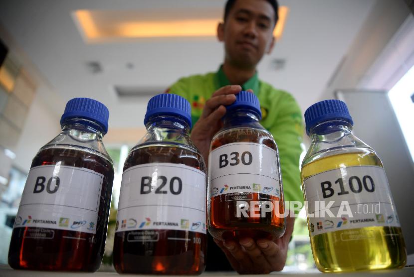 Utamakan Korporasi, BPDPKS Dinilai Layak Dilaporkan ke KPPU