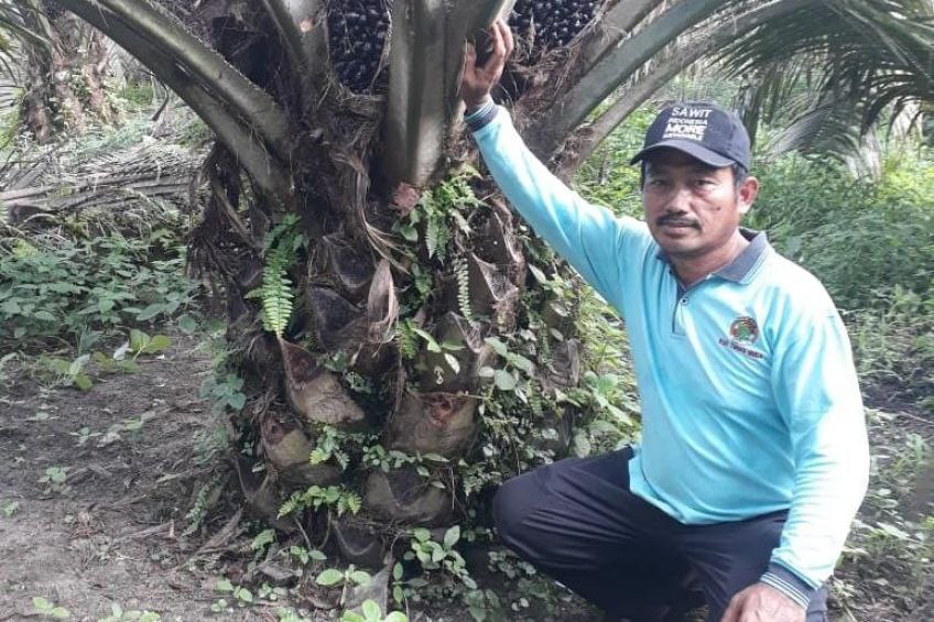 Syarat Ditambah, Capaian PSR Diperkirakan Makin Lesu