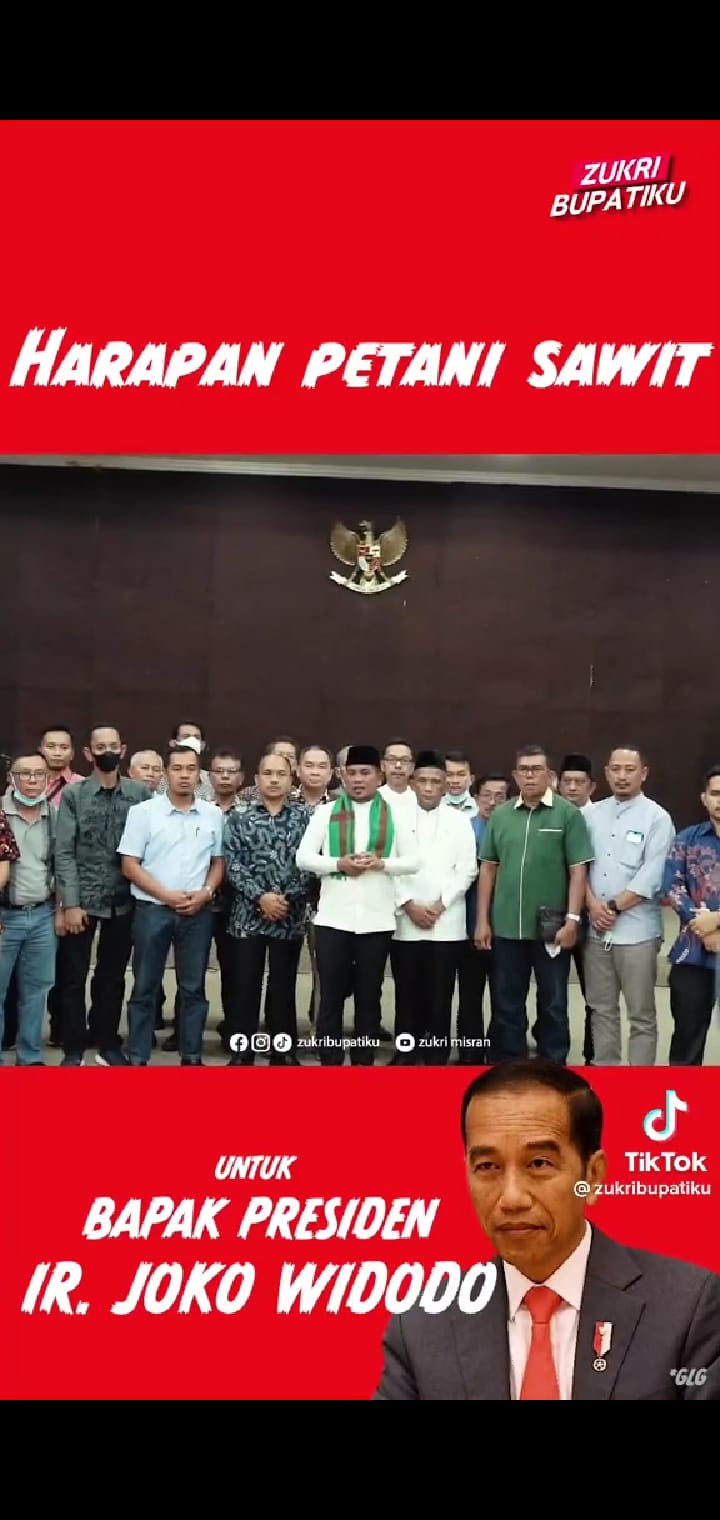 Viral, Bupati ini Ajukan Permintaan Khusus ke Presiden Jokowi