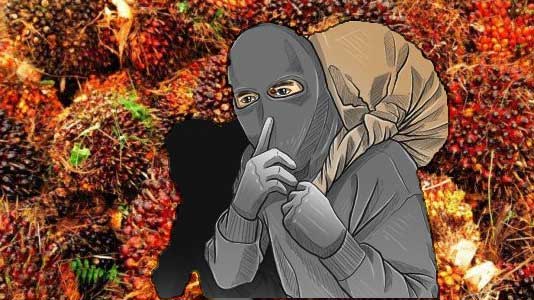 Penjaga Kebun Tewas Dikeroyok Ninja Sawit