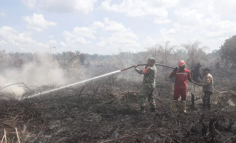 Lahan Sawit Terbakar, Upaya Pemadaman Masih Berlangsung
