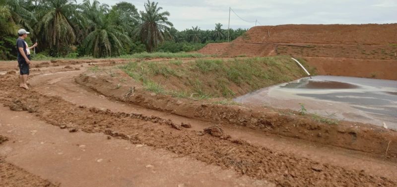Limbahnya Ditengarai Cemari Lingkungan, PKS ini Mau Dilaporkan