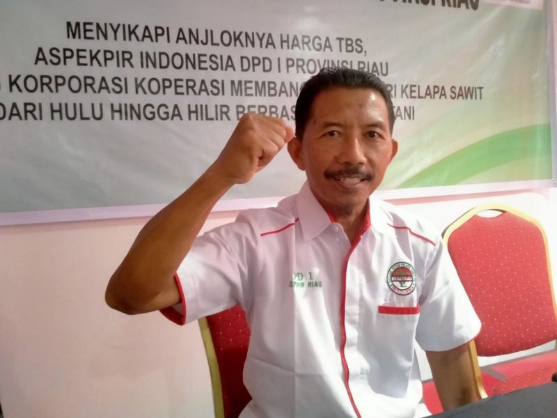 Aspek-PIR Riau: Program PSR Tersendat karena Persyaratannya