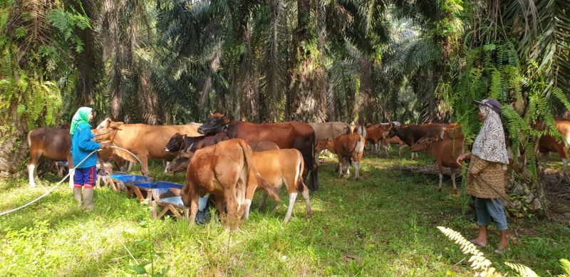 Siska Diharapkan Bisa Putus Ketergantungan pada Daerah Lain
