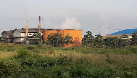 Berulang Kali Didemo, Perusahaan ini Belum Realisasikan Kebun Plasma