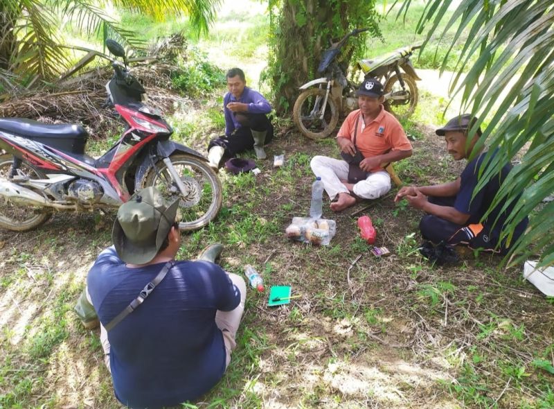 Berat di Ongkos, Elita Tak Panen Sawitnya