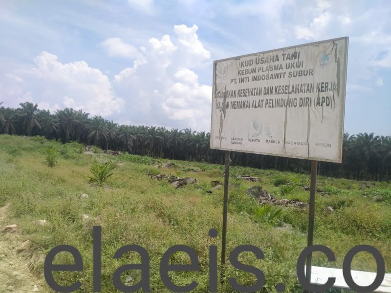 Data-data ini Dibutuhkan untuk Penetapan Harga Resmi TBS