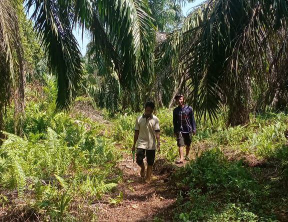 1.971 Calon Mahasiswa Lulus Seleksi Administrasi Beasiswa BPDPKS, Anak Riau 137